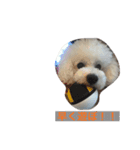 CORON-CHEESE（個別スタンプ：4）