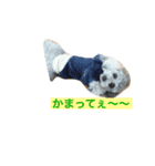 CORON-CHEESE（個別スタンプ：8）