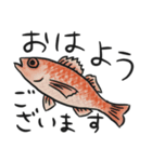 おさかな釣れたよスタンプ（個別スタンプ：1）