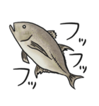 おさかな釣れたよスタンプ（個別スタンプ：3）