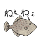 おさかな釣れたよスタンプ（個別スタンプ：6）