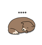 カスタム犬（個別スタンプ：16）
