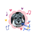 coco momo chanel（個別スタンプ：3）
