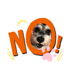 coco momo chanel（個別スタンプ：4）
