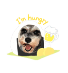 coco momo chanel（個別スタンプ：7）