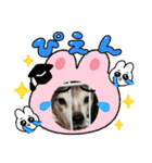 coco momo chanel（個別スタンプ：8）