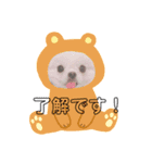 ぼく、ポメラニアンのくんちゃん♡（個別スタンプ：2）