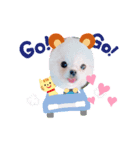 ぼく、ポメラニアンのくんちゃん♡（個別スタンプ：7）