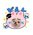 ぼく、ポメラニアンのくんちゃん♡（個別スタンプ：8）