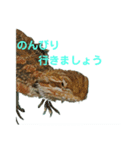 フトアゴトカゲ NO.1（個別スタンプ：5）