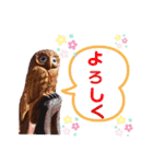幸せのフクロウ（個別スタンプ：6）