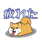 太っちょ犬【基本編】（個別スタンプ：14）