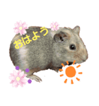 かわいい家族-cute family-（個別スタンプ：1）