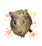 かわいい家族-cute family-（個別スタンプ：2）