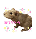 かわいい家族-cute family-（個別スタンプ：6）