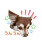 かわいい家族-cute family-（個別スタンプ：8）