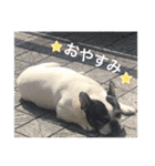 フレブル☆ラックちゃんスタンプ2（個別スタンプ：4）