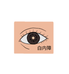 眼科疾患1（個別スタンプ：2）