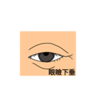 眼科疾患1（個別スタンプ：4）