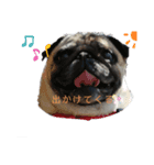 とまとのスタンプです（個別スタンプ：5）