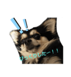 さすけ日和（個別スタンプ：8）
