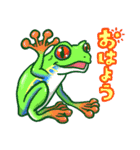 日常両生類ず（個別スタンプ：5）