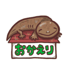 日常両生類ず（個別スタンプ：9）