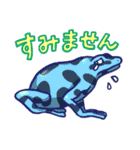 日常両生類ず（個別スタンプ：13）