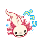 日常両生類ず（個別スタンプ：16）