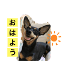 女優チョコ（個別スタンプ：2）