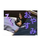 女優チョコ（個別スタンプ：4）