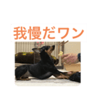 女優チョコ（個別スタンプ：6）