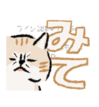 みてネコ【長押防止スタンプ】（個別スタンプ：1）