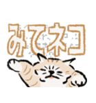 みてネコ【長押防止スタンプ】（個別スタンプ：3）