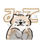 みてネコ【長押防止スタンプ】（個別スタンプ：4）