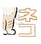 みてネコ【長押防止スタンプ】（個別スタンプ：5）