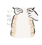 みてネコ【長押防止スタンプ】（個別スタンプ：7）