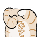 みてネコ【長押防止スタンプ】（個別スタンプ：9）
