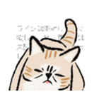 みてネコ【長押防止スタンプ】（個別スタンプ：10）