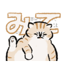 みてネコ【長押防止スタンプ】（個別スタンプ：12）