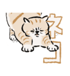 みてネコ【長押防止スタンプ】（個別スタンプ：15）