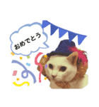 しろねここむぎスタンプ（個別スタンプ：6）