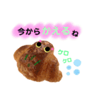 クロワッサン・パン実写 〜よく使う言葉〜（個別スタンプ：27）