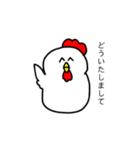 丸いにわとり（個別スタンプ：5）
