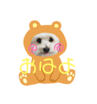 Hokke۬৺۬（個別スタンプ：5）