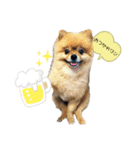 Hokke۬৺۬（個別スタンプ：7）