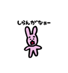 しんぐウサギくん（新宮市）（個別スタンプ：13）