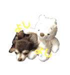 りん❤️らい3（個別スタンプ：3）
