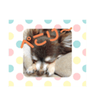りん❤️らい3（個別スタンプ：4）