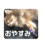 りん❤️らい3（個別スタンプ：5）
